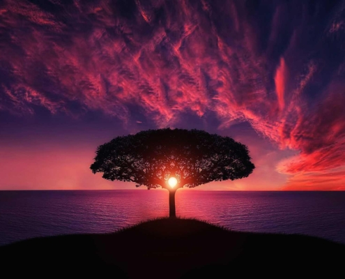 Assemblée générale annuelle 2022 de la Maison l’autnid